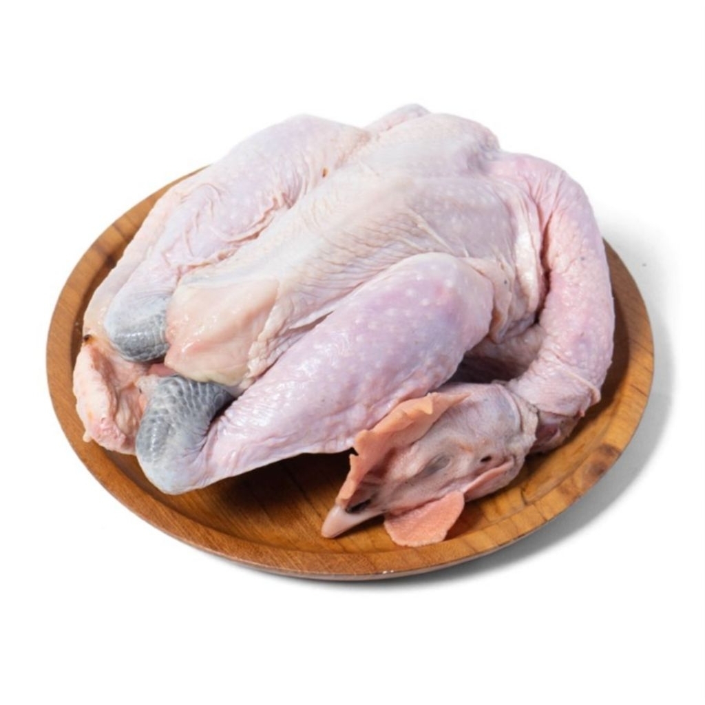 Ayam potong fresh