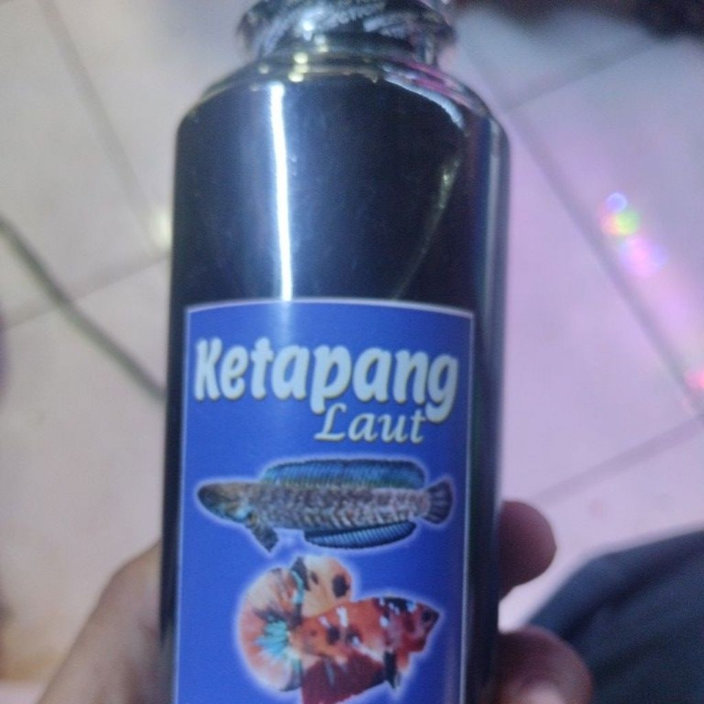 Eksta ketapang laut/air ketapang laut