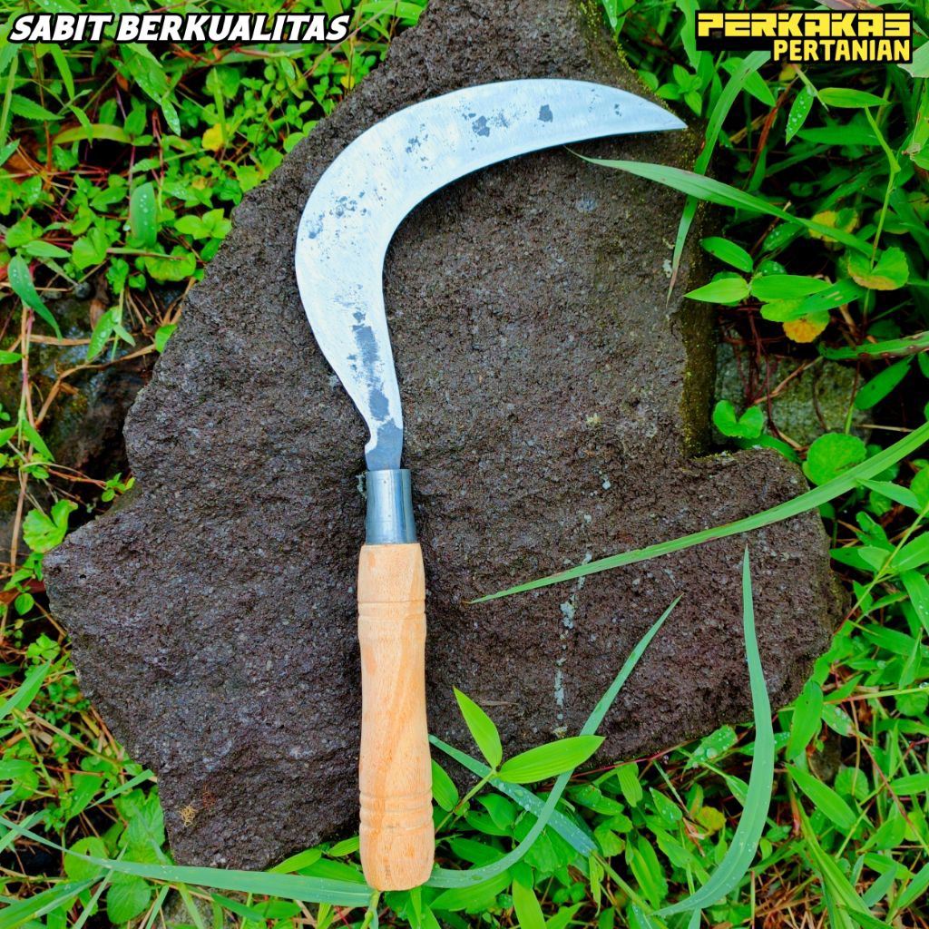 Arit khusus ngarit rumput baja isen berkualitas dan tajam