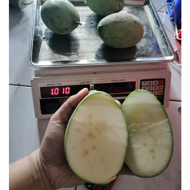MANGGA  madu manalagi muda mendekati tua 1KG ISI 3-4-5 BISA REQUEST