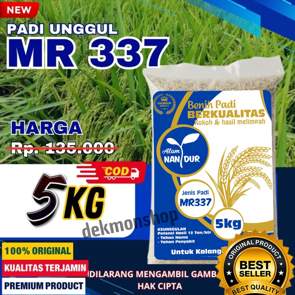 Benih padi bibit padi MR337 original kemasan 5 kg