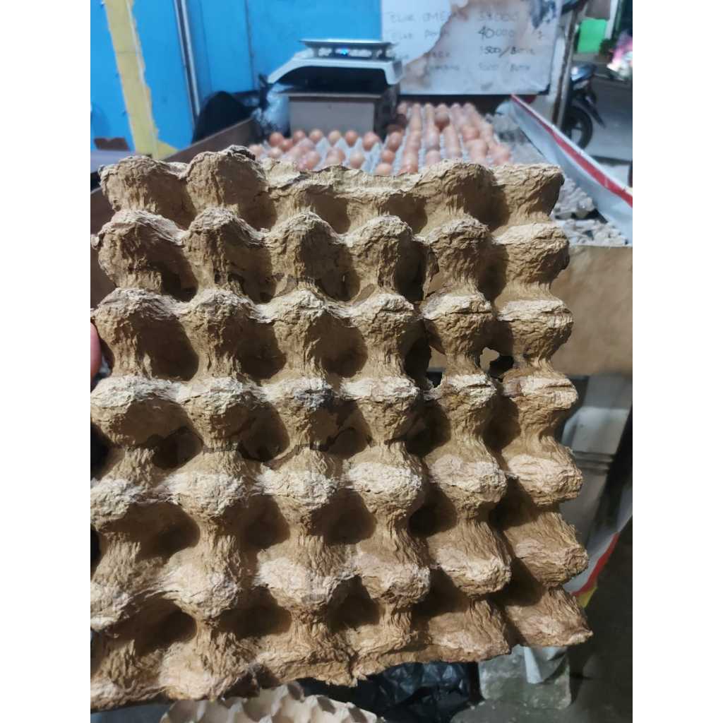 Tray telur ternak Jangkrik / Tray Telur Jangkrik / Tray telur reject untuk jangkrik / tempat telur b