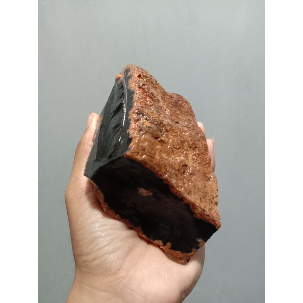 Rough Bahan Fosil Galih Kelor Super HQ