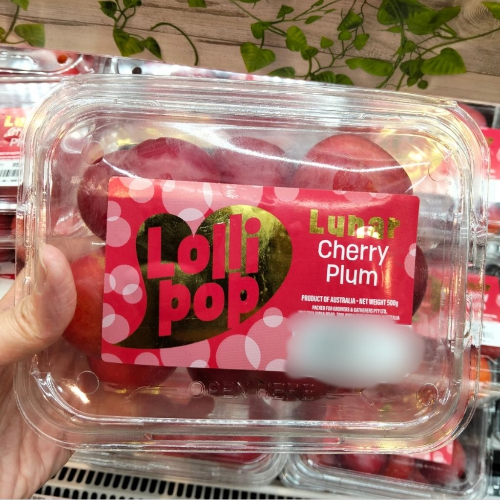 [1 Pack] Lollipop Cherry Plum 500g / Buah Plum / Buah Cherry Plum / Plum  Merah Australia
