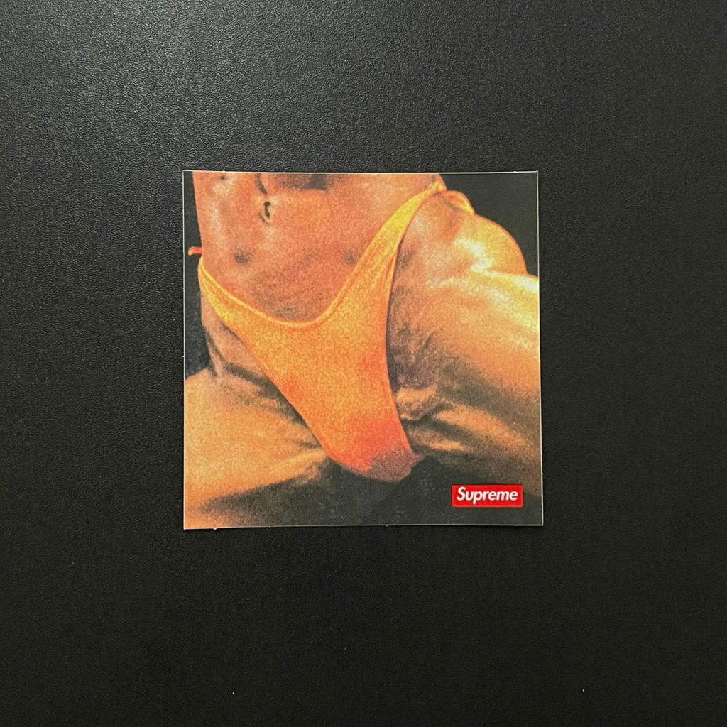 SUP**ME BUTTHOLE SURFERS STICKER