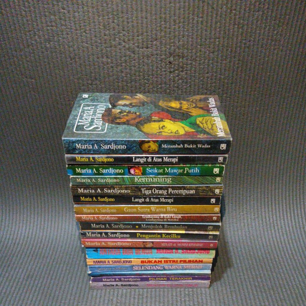 Novel Maria Sardjono