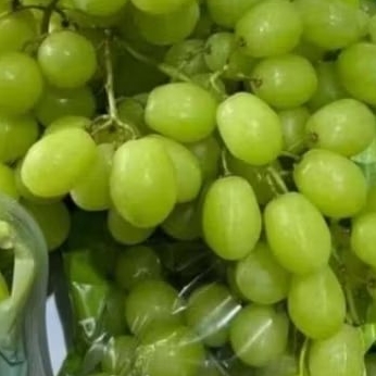 BUAH ANGGUR HIJAU NON BIJI USA