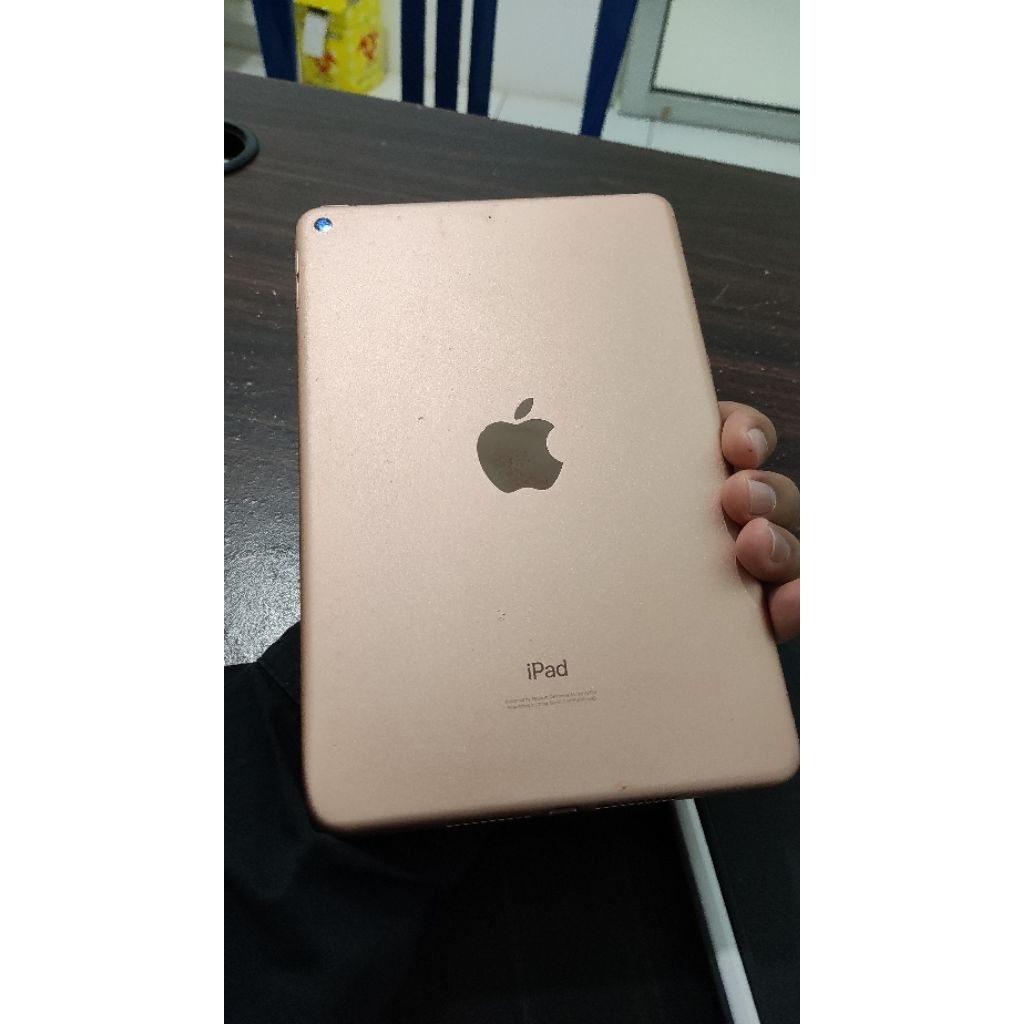 Ipad Mini 5 256 GB Wifi Only Second