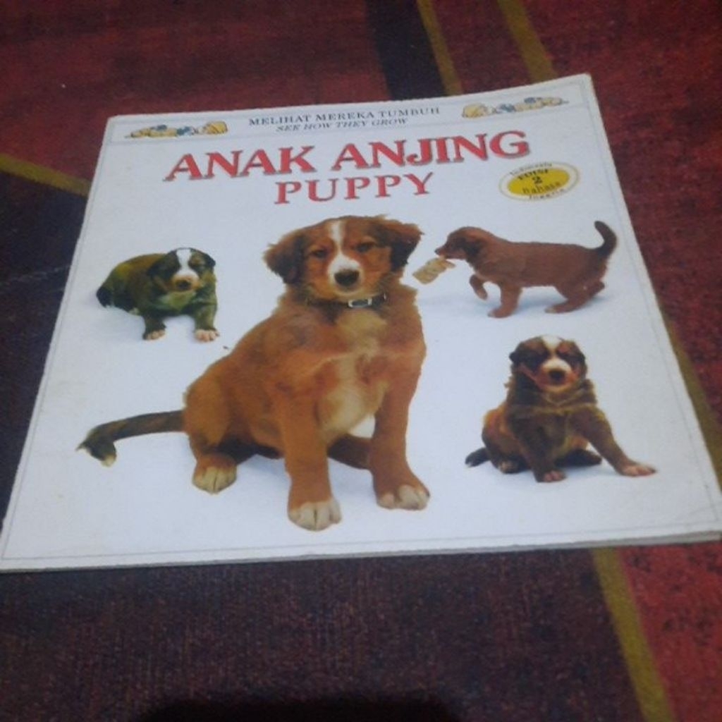 MELIHAT MEREKA TUMBUH - ANAK ANJING