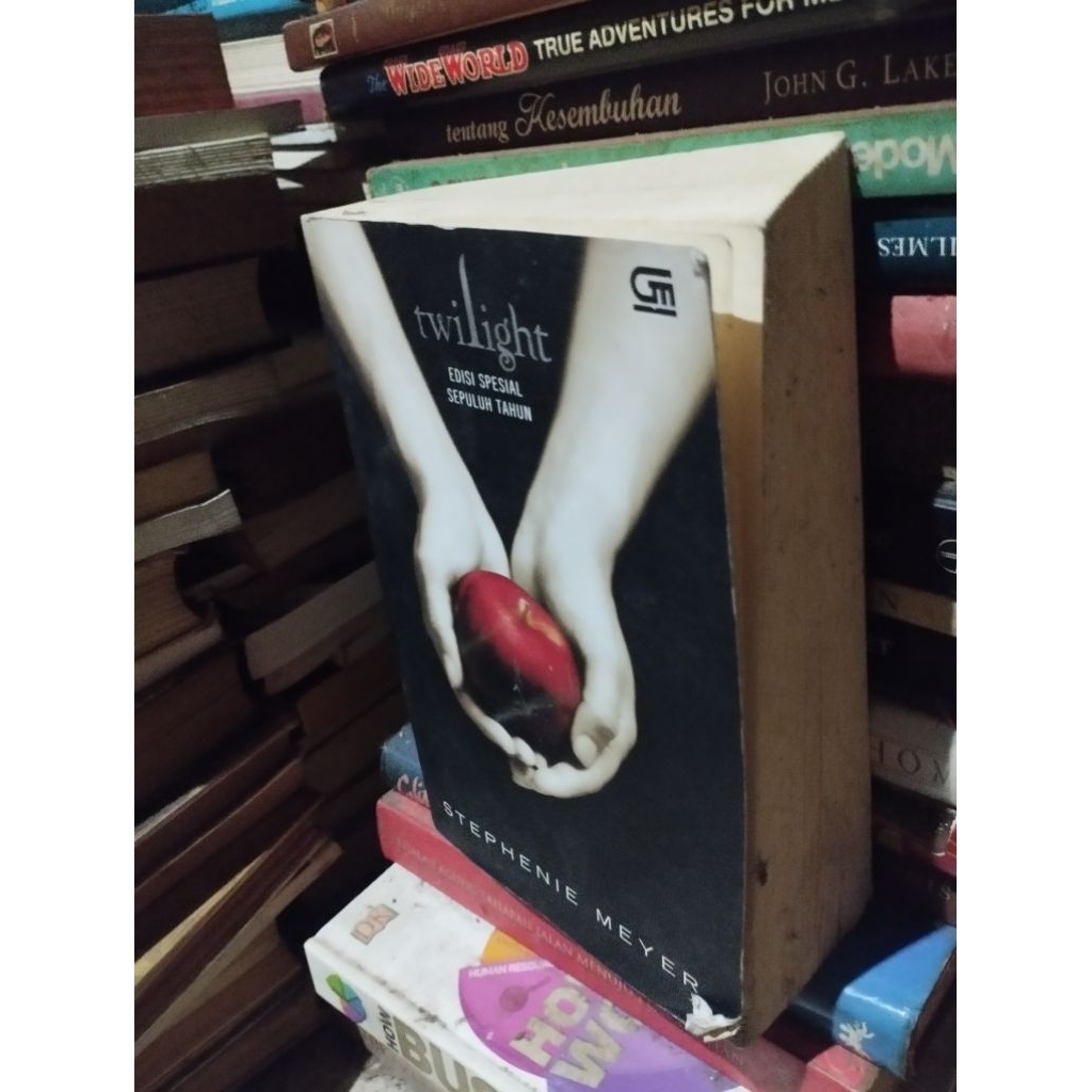 twilight edisi spesial sepuluh tahun dan life and death hidup dan mati  stephen meyer