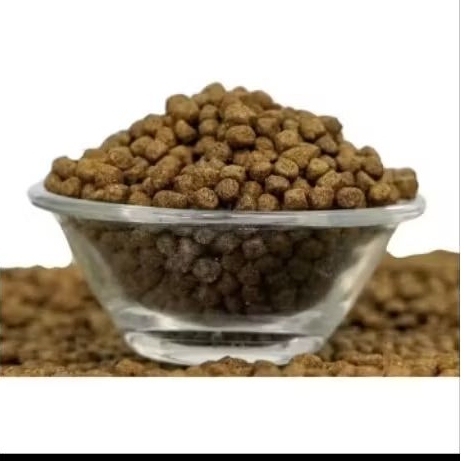 pakan ikan lele nila gurame mas patin 1kg