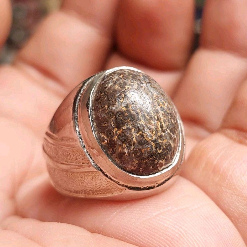 Batu cincin anti wisa asli alami bisa nyedot racun, Batu natural alami dari cirebon