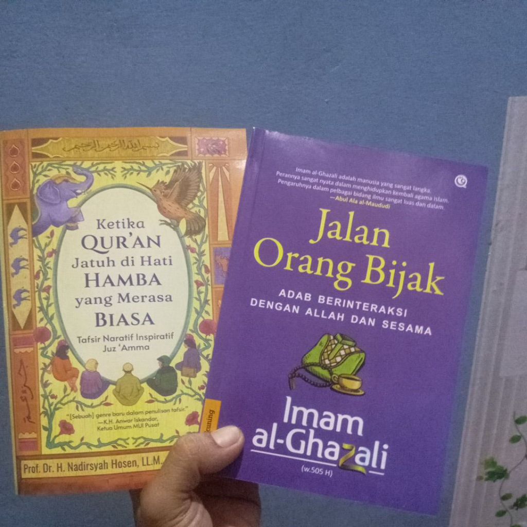 Paket 2 buku ketika Qur'an jatuh di hati hamba yang merasa Biasa + jalan orang bijak