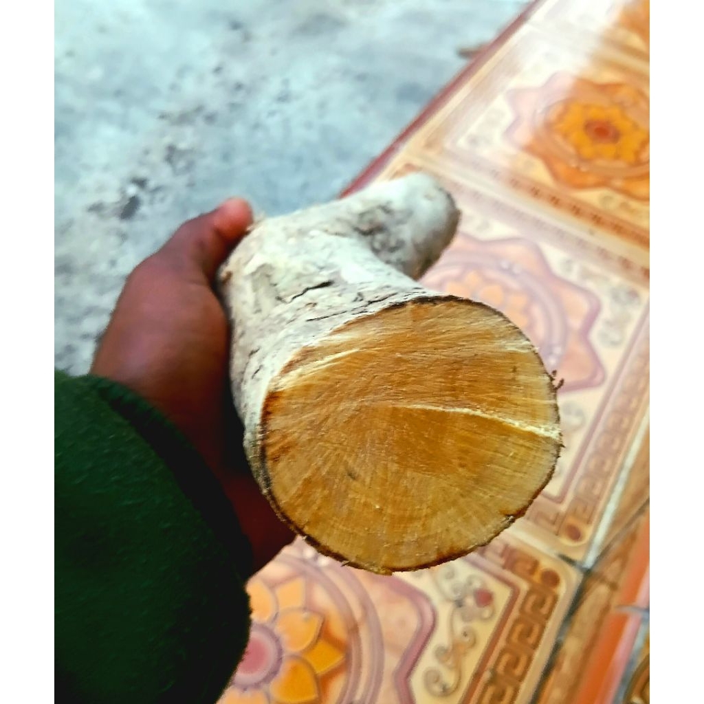 bahan kayu kemuning mas model lengkung/bengkok