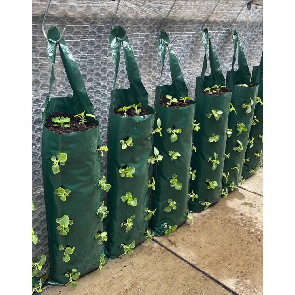 COD - PLANTER BAG POUCH PLANTER GANTUNG TANAMAN VERTICAL 10 SLITS