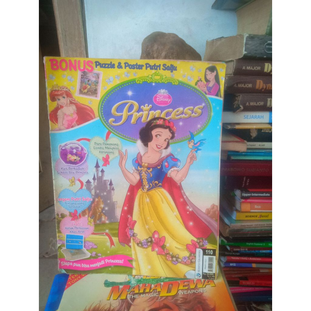 buku majalah Disney princess