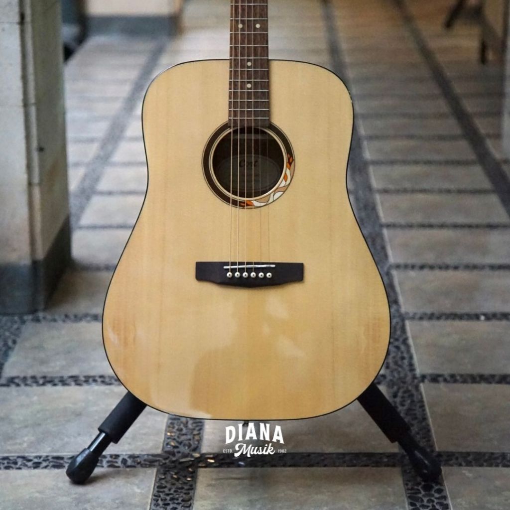 Cort AD810 DX / AD 810 DX Accoustic Guitar, Natural