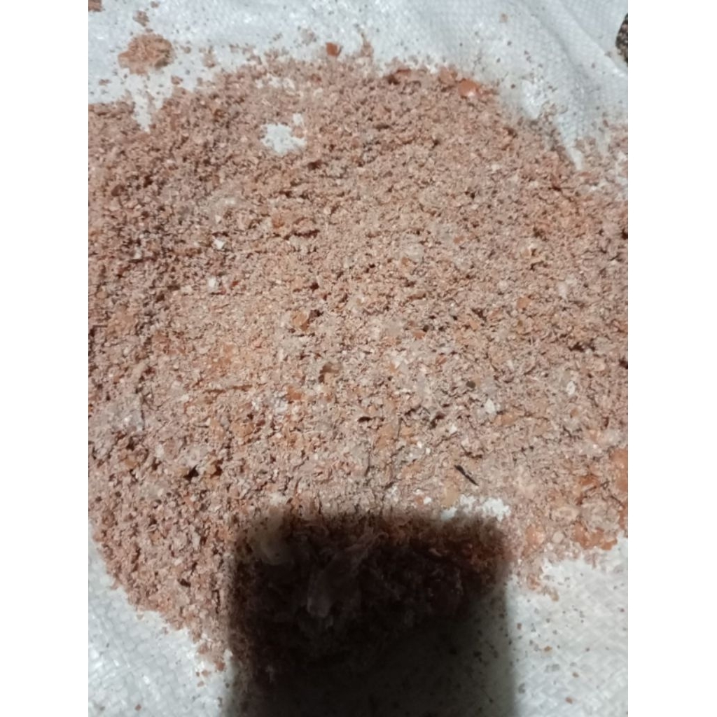 cangkang telur murni kalsium tanaman ternak