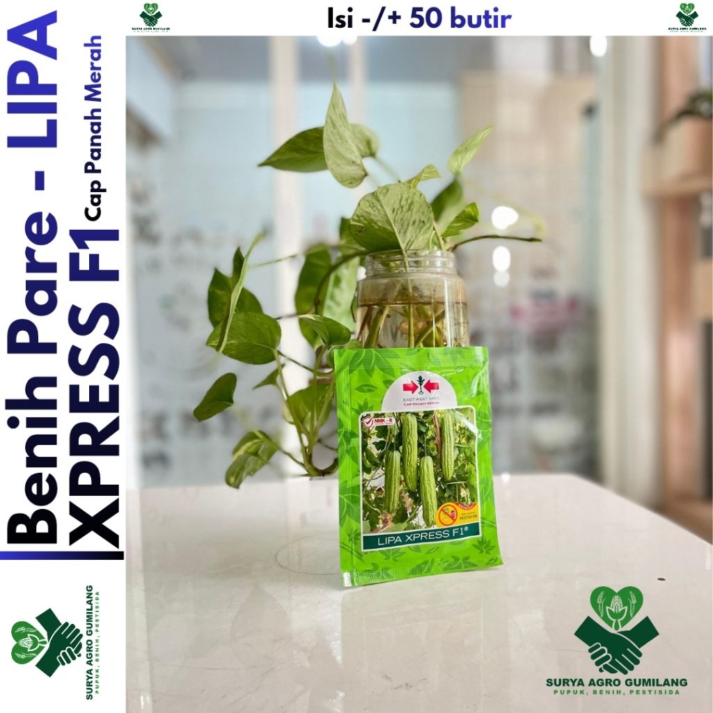 Benih Pare LIPA XPRESS F1 | Pare LIPA XPRESS Cap Panah Merah | Bibit-Benih Pare