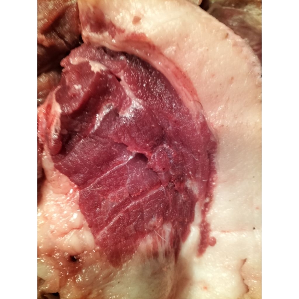 Daging babi mentah segar harga / kg