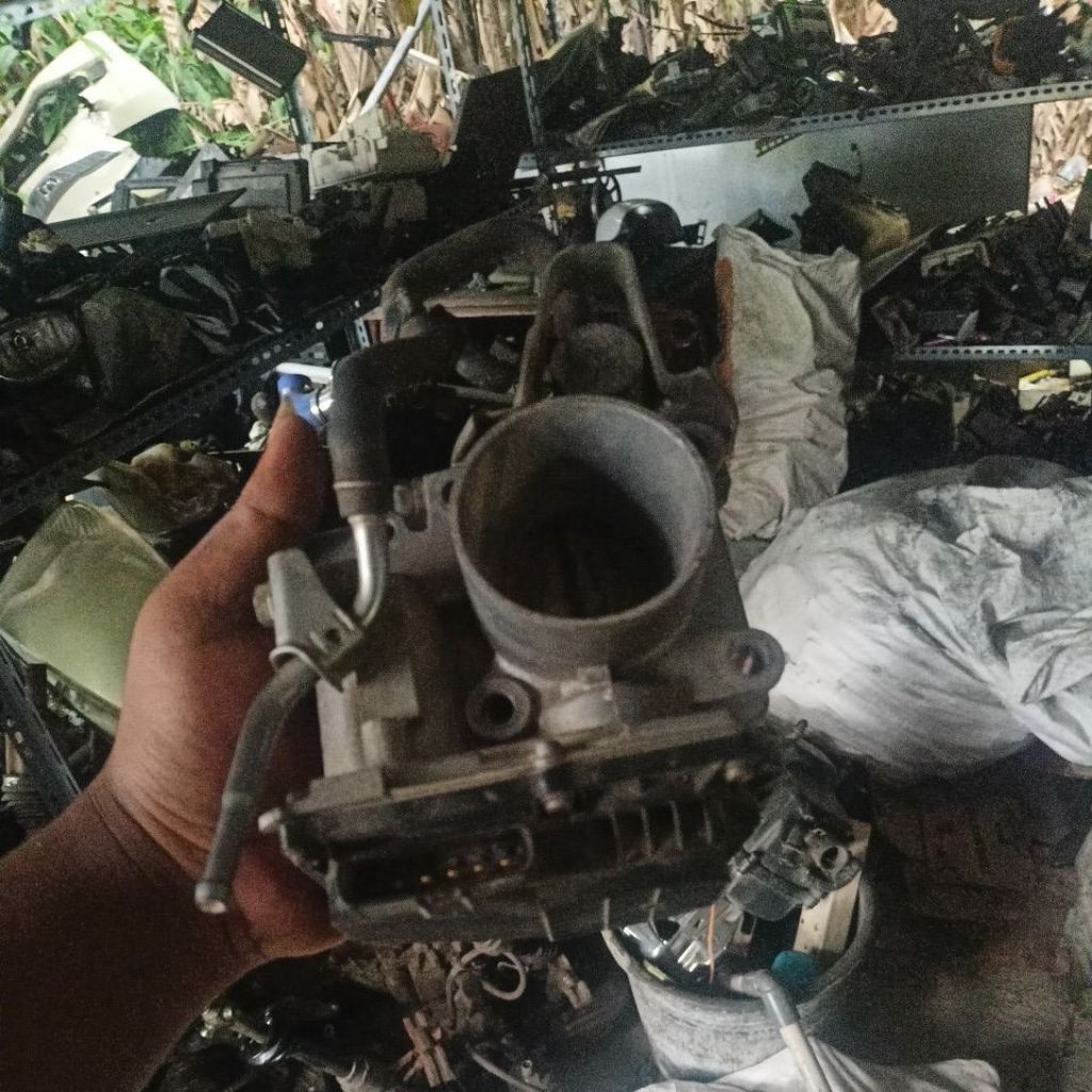 turtlebody mobilio ori copotan