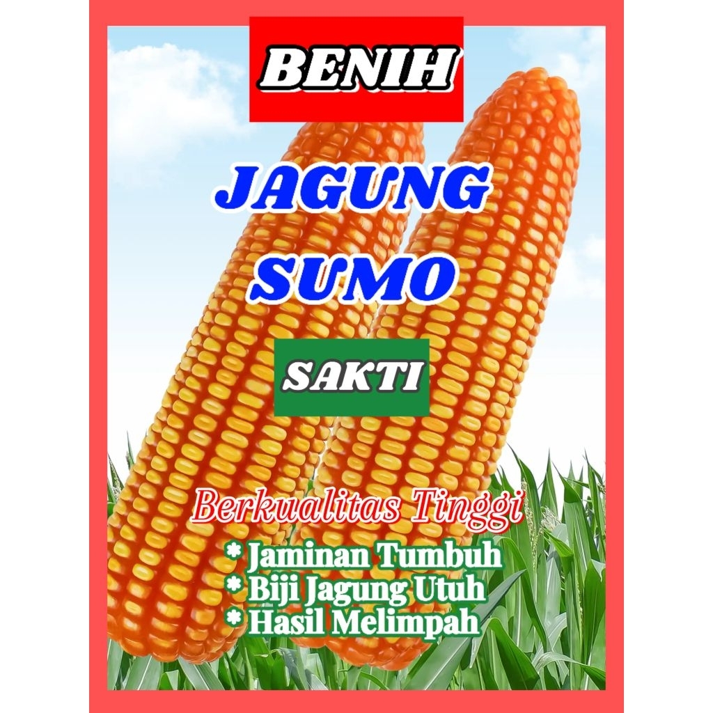 1 kg bibit jagung sumo sakti berkualitas