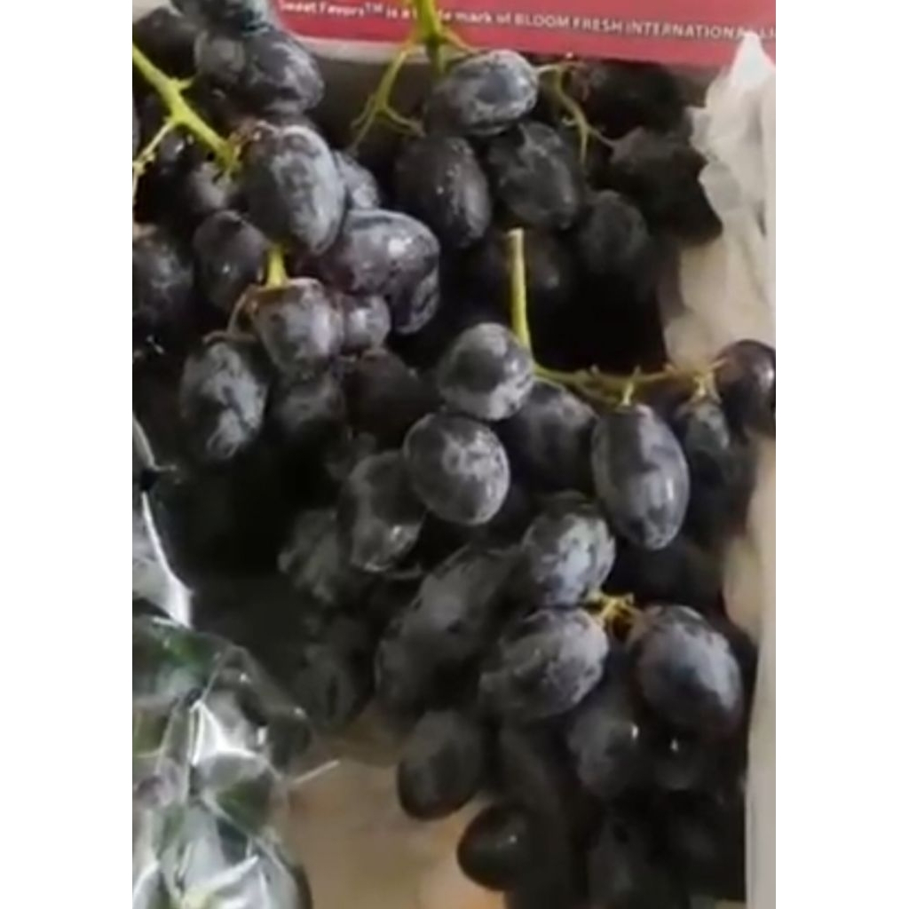 Anggur Hitam Autumn Ausy - Anggur Hitam Manis Tanpa Biji