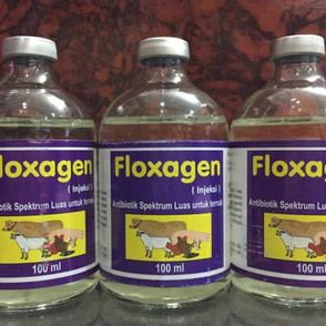 Floxagen 100ml - Antibiotik Pernafasan Untuk Ternak