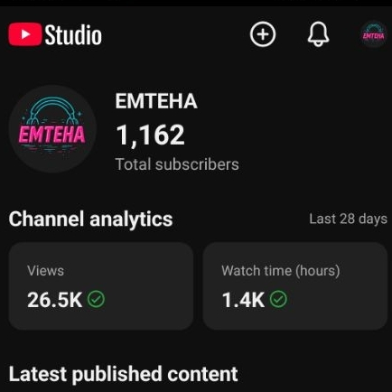 CHannel Monetisasi Belum PIN ADSENSE