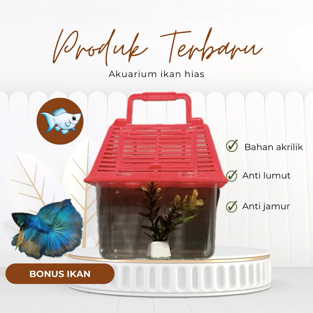promo akuarium ikan kecil