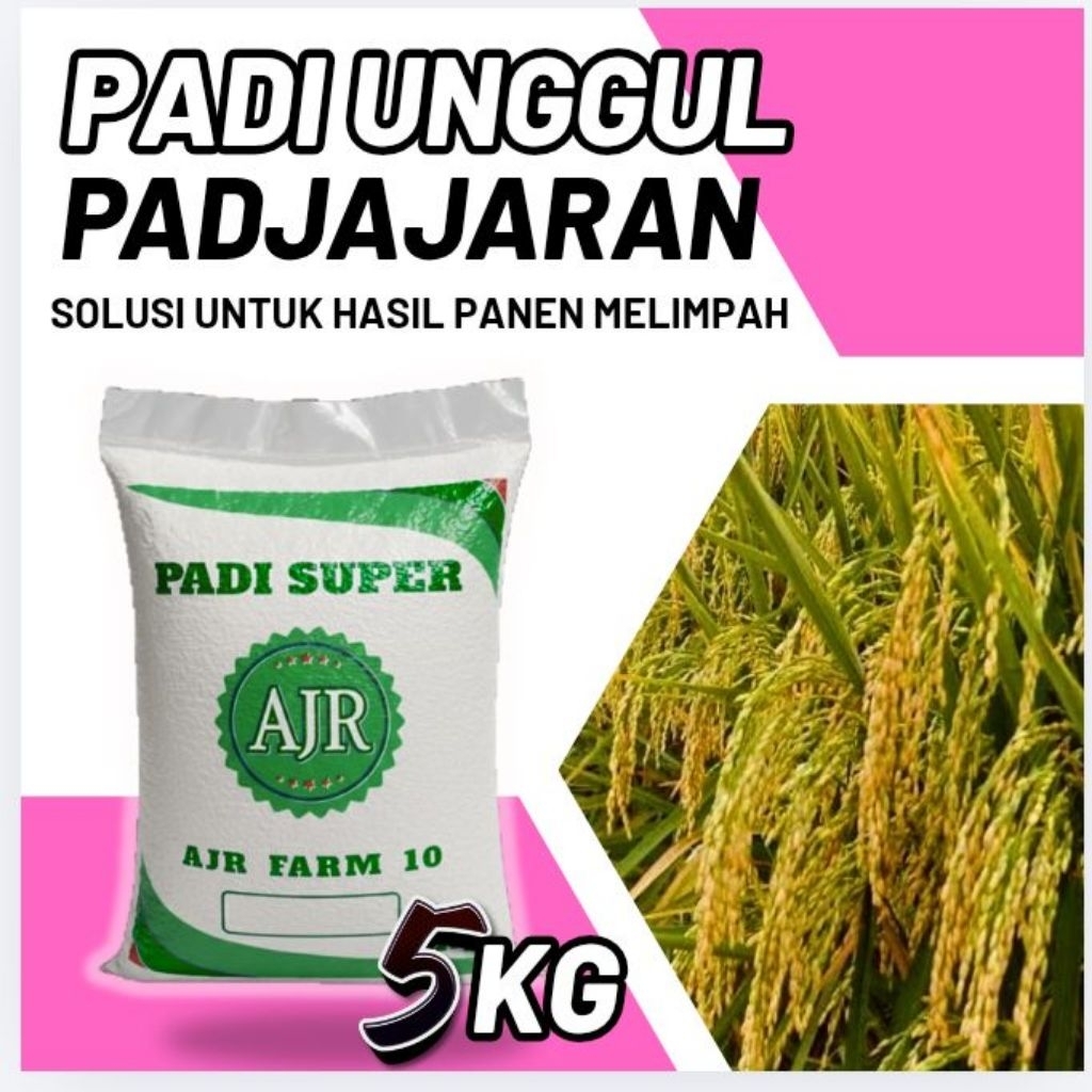 Benih padi unggul PADJAJARAN (5Kg)