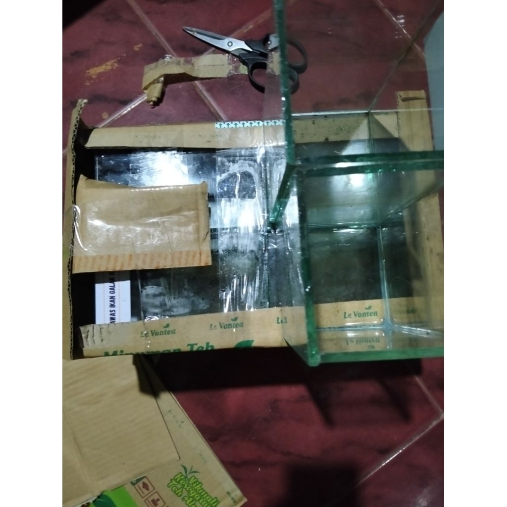 Soliter kaca ikan cupang