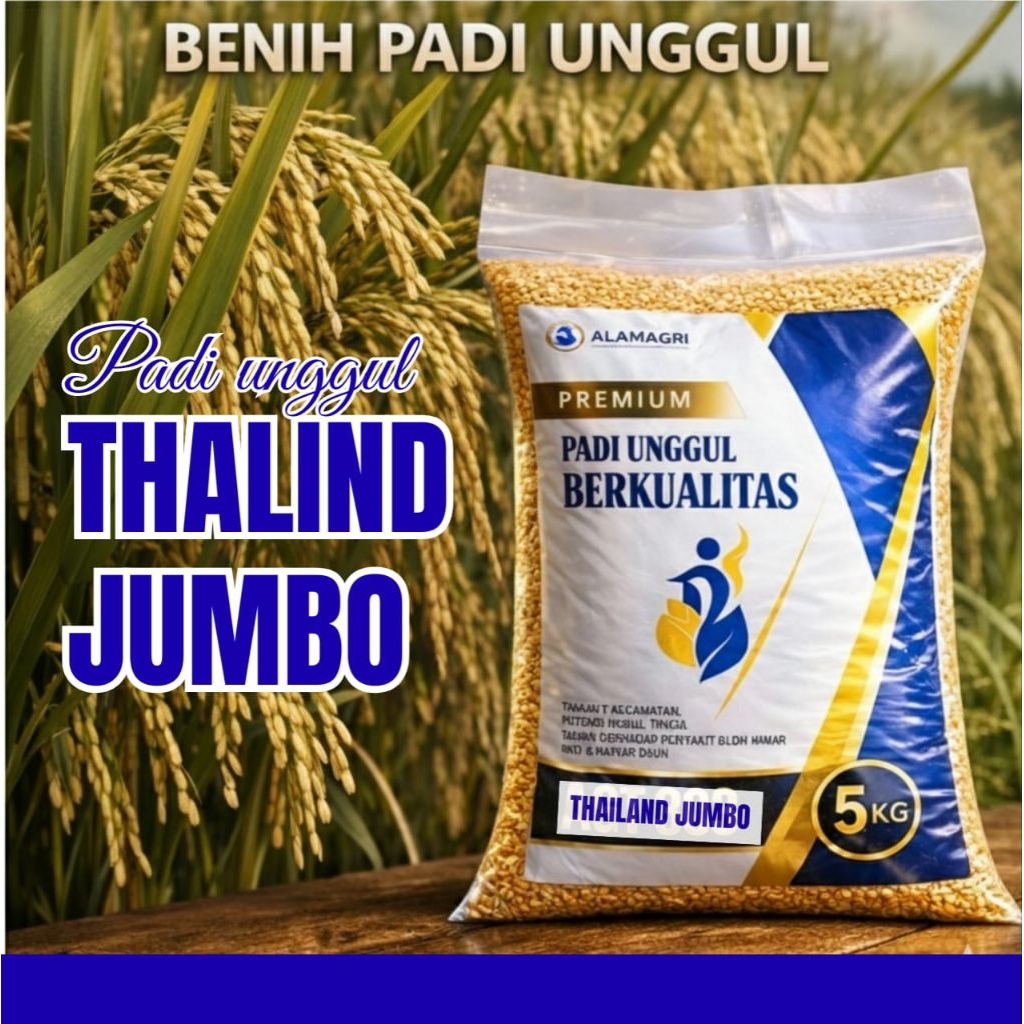 BIBIT PADI THAILAN JUMBO KEMASAN 5KG PADI UNGGUL SUPER PREMIUM