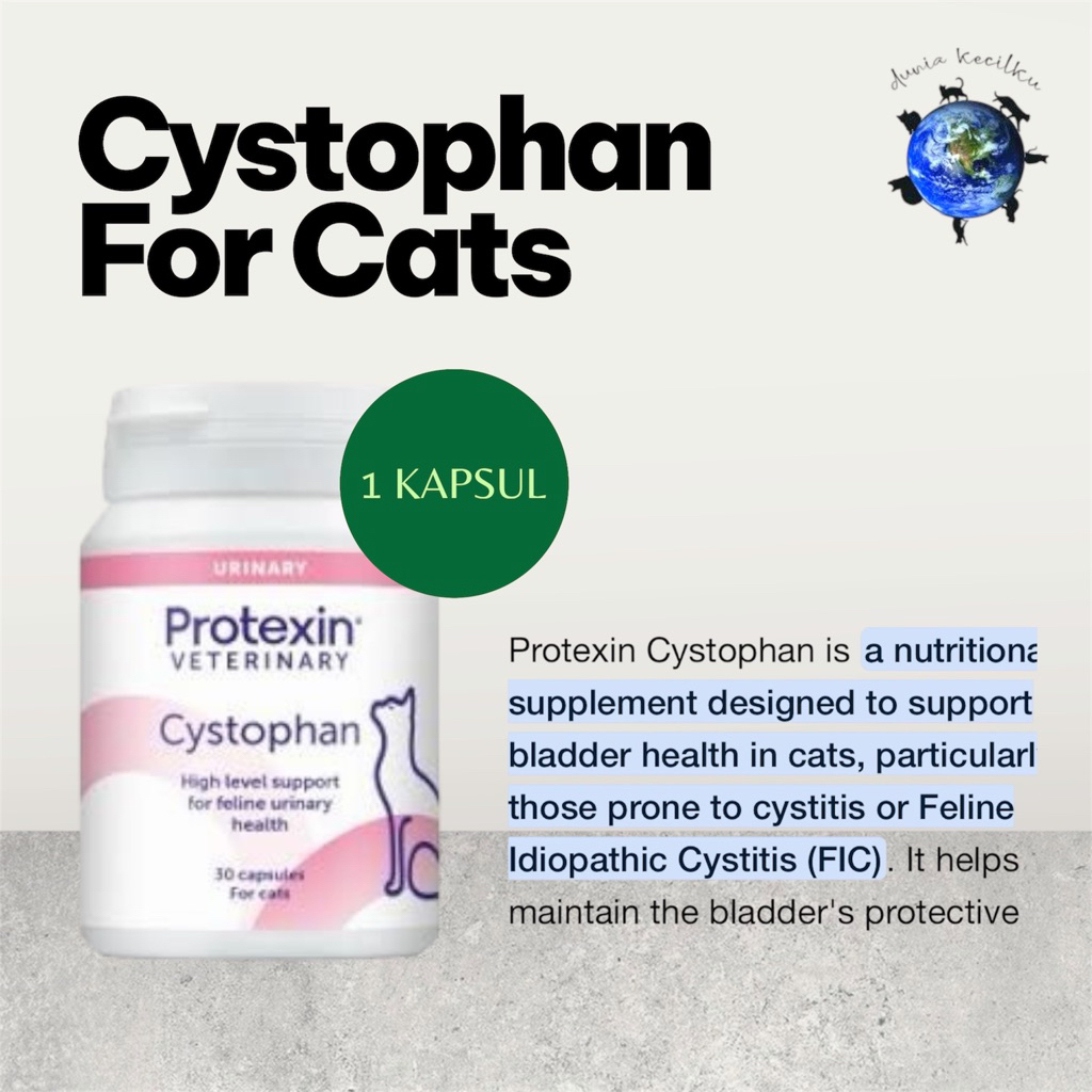 Cystophan For Cats Urinary Health FUS FLUTD Obat Saluran Kencing Kucing