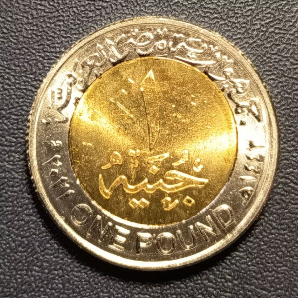 Koin Asing Bimetal Mesir 1 Pound Commemorative