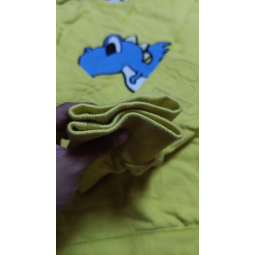 CREWNECK PANCOAT POP NAGA BONAR