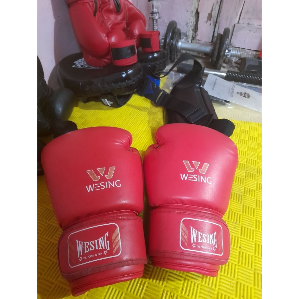 WESING BOXING GLOVE