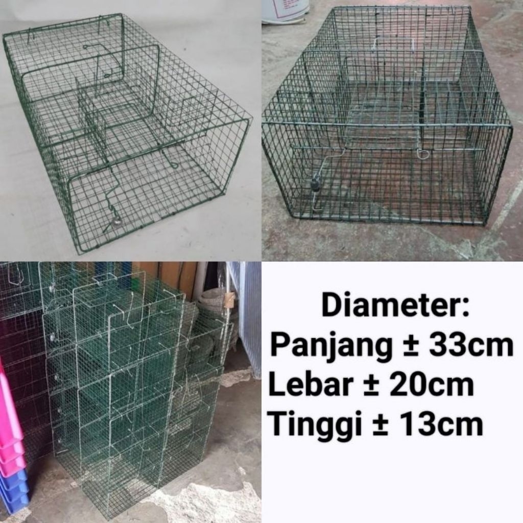 jebakan tikus MASAL kawat