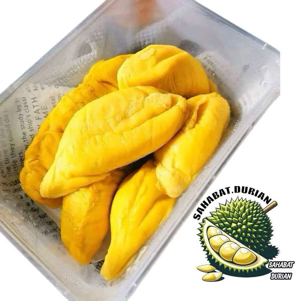 Durian kupas MusangKing Premium | Durian kupas box 500 gram super lezat frozen