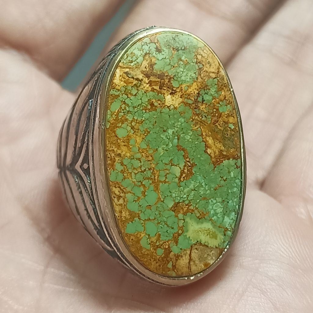 Pirus persia ijo lawas size jumbo