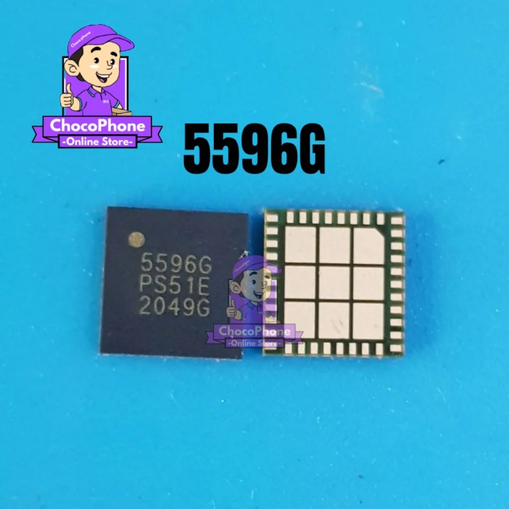 Ic PA 5596G Original