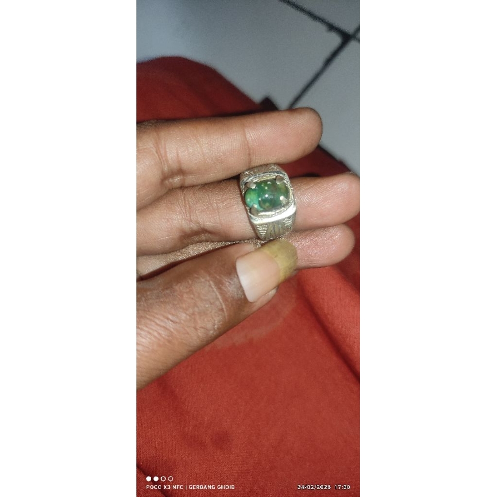 Pirus Persia ijo kedongdong minion