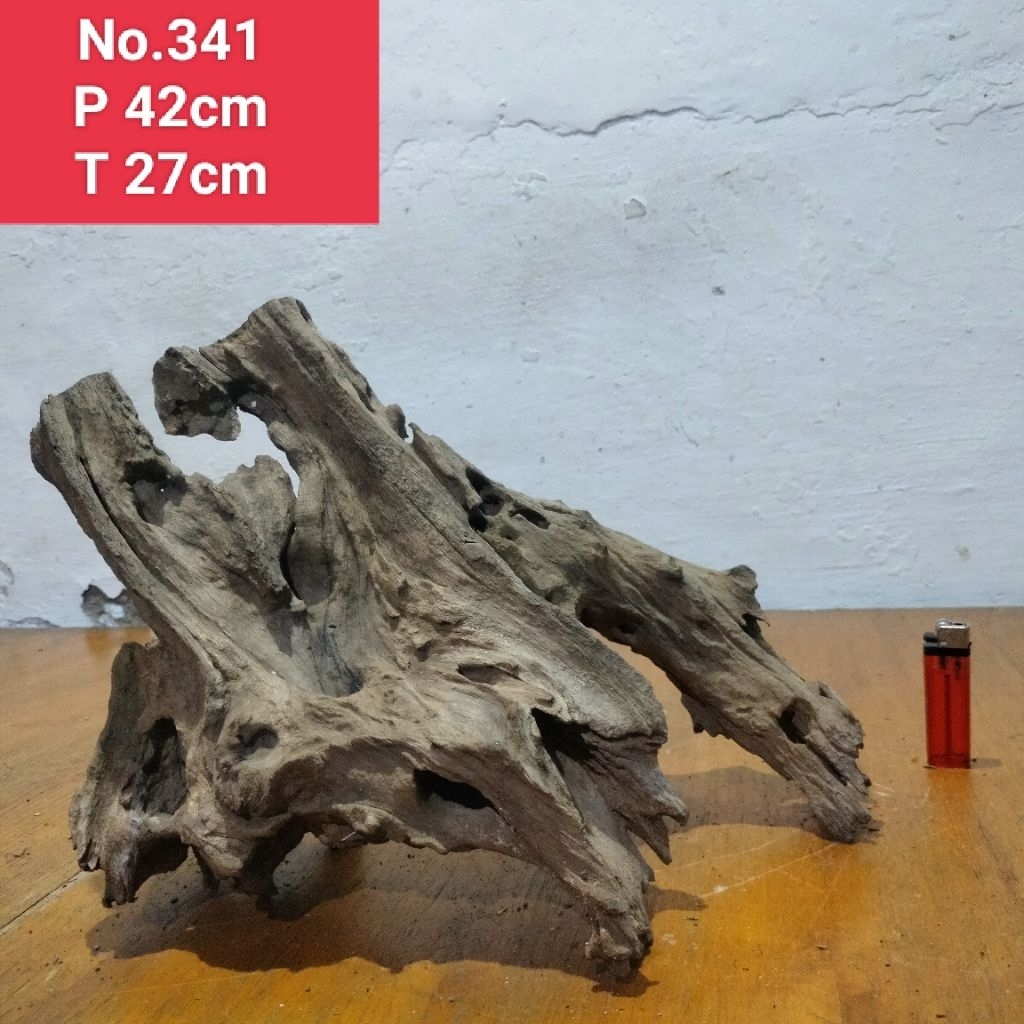 bonggolan akar Santigi laut kayu santigi laut akar aquascape aquarium 341