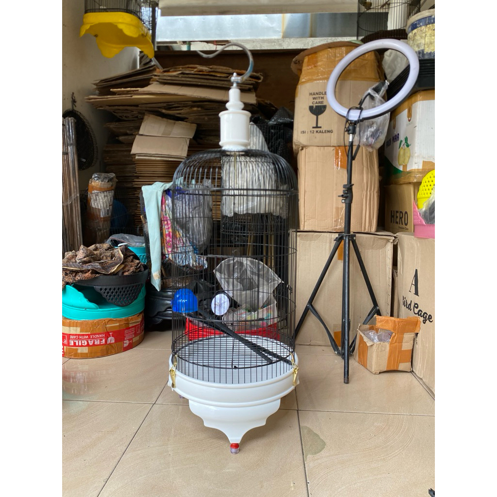 sangkar tebok pvc batman