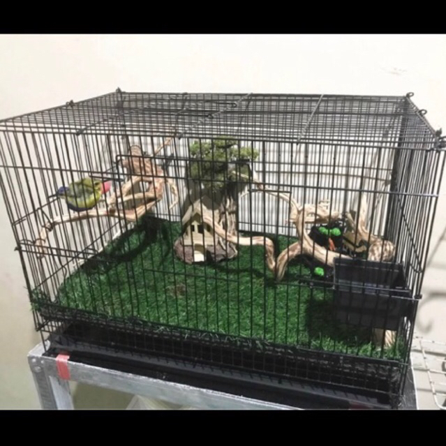 AVIARY MINI kandang hewan besi
