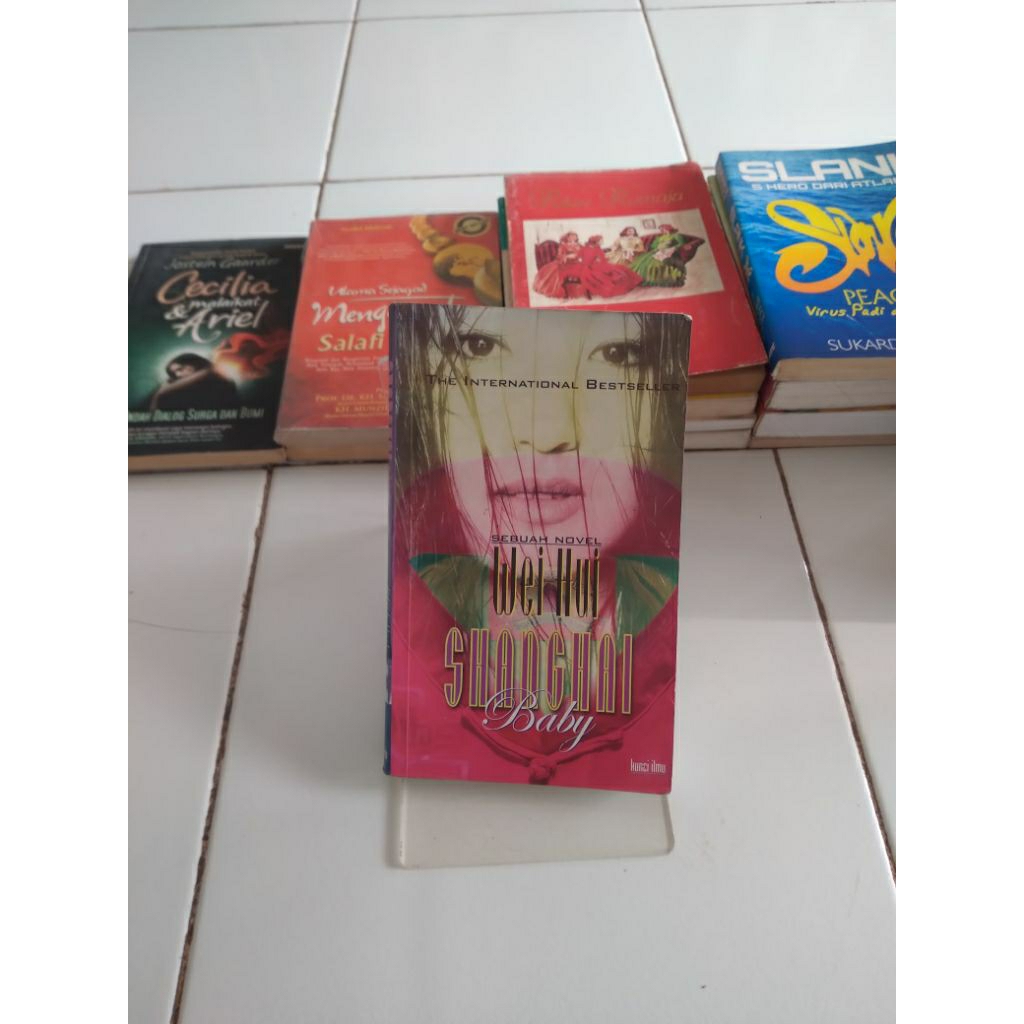 wei hui shanghai baby