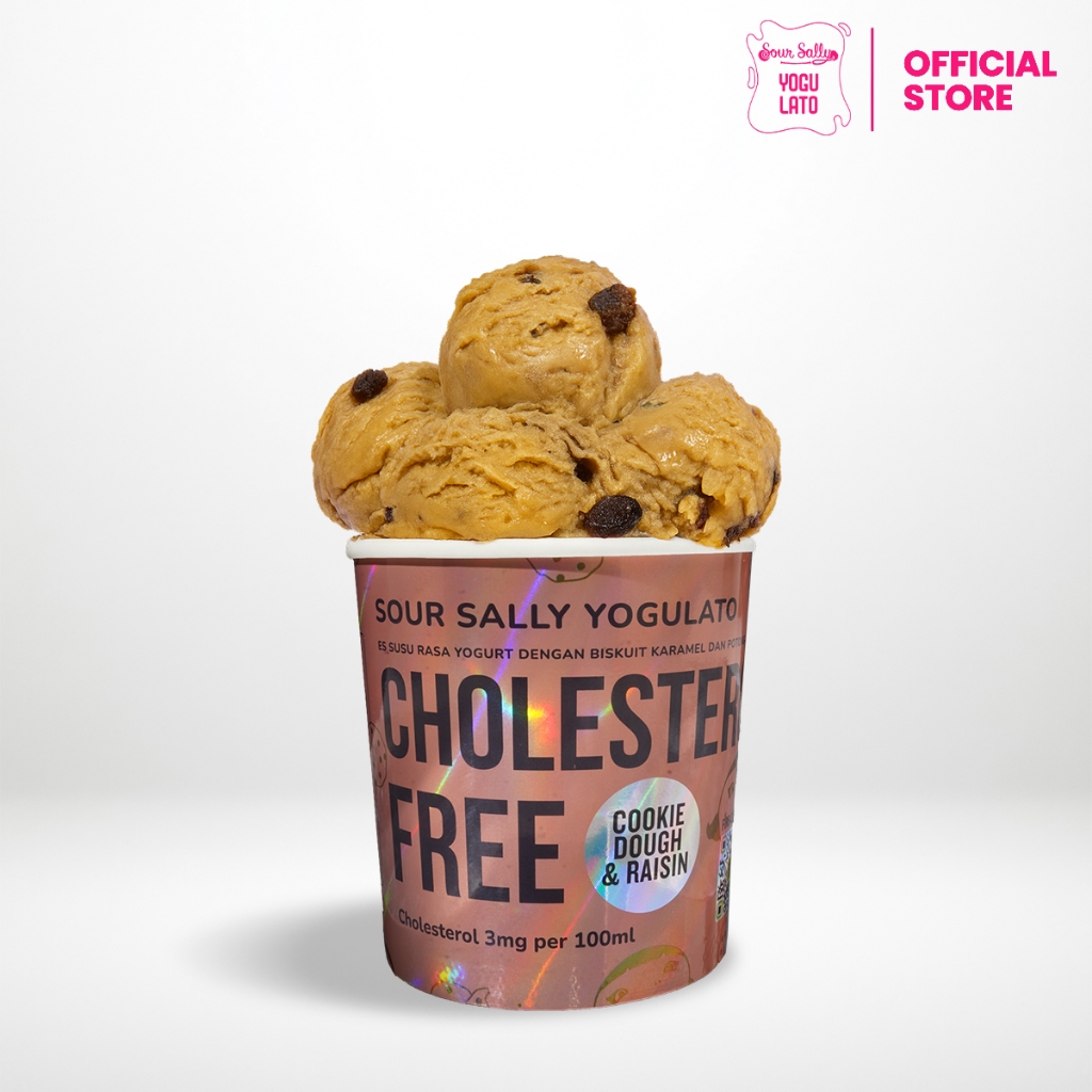 Sour Sally Yogulato Cookie Dough & Raisin 330ml | Ice Cream Healthy Yogurt Diet Friendly Low Fat Low