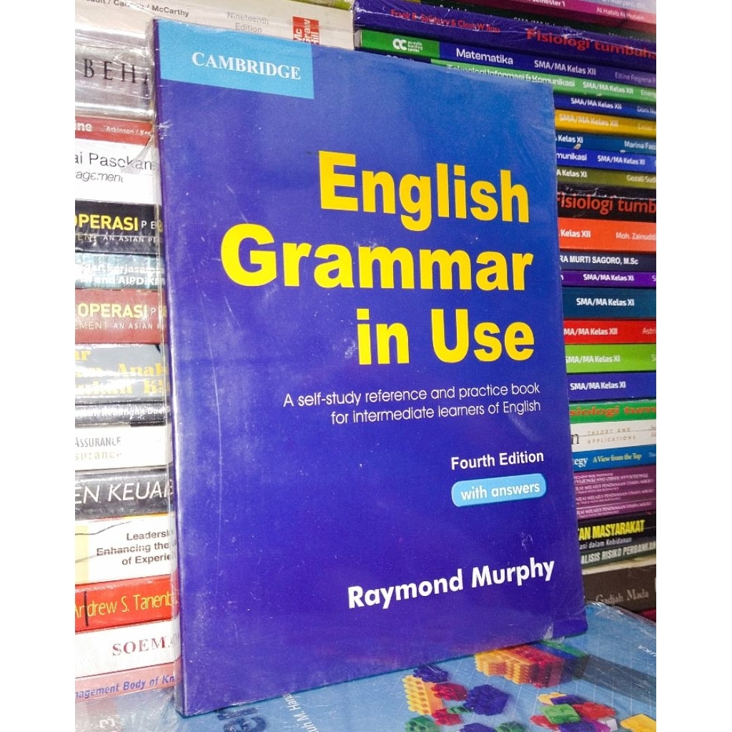 English grammar in use