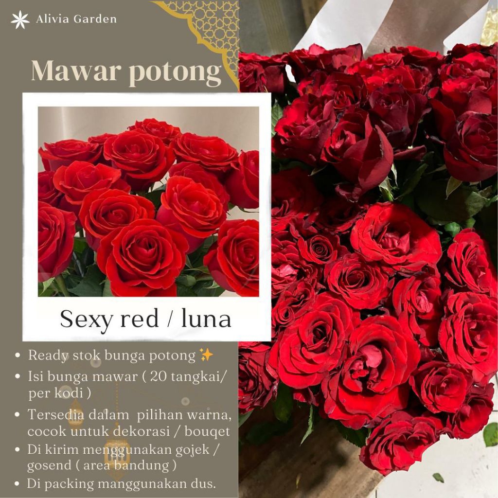 Bunga mawar potong merah luna/ sexy red ( instant delivery )