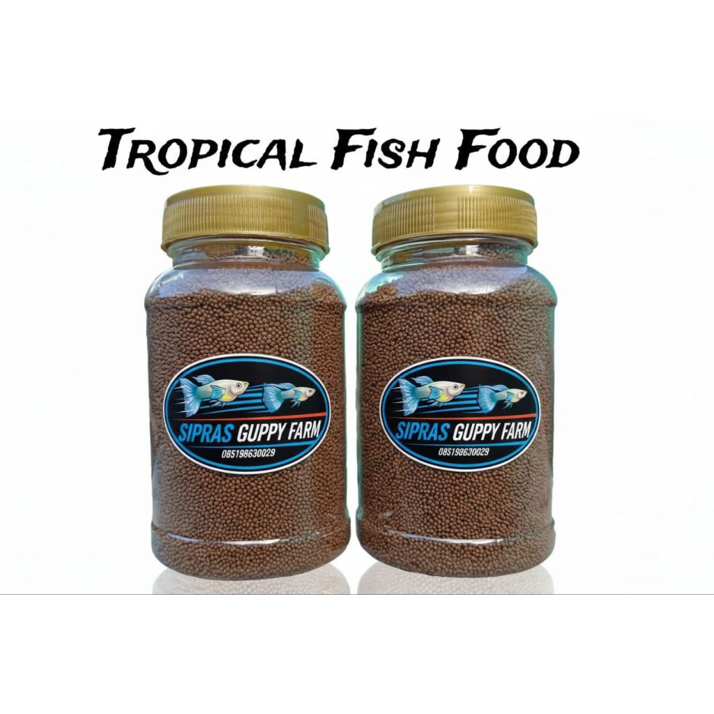 pakan ikan guppy